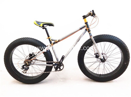 Alloy Frame Mountain Bike with Fat Tire