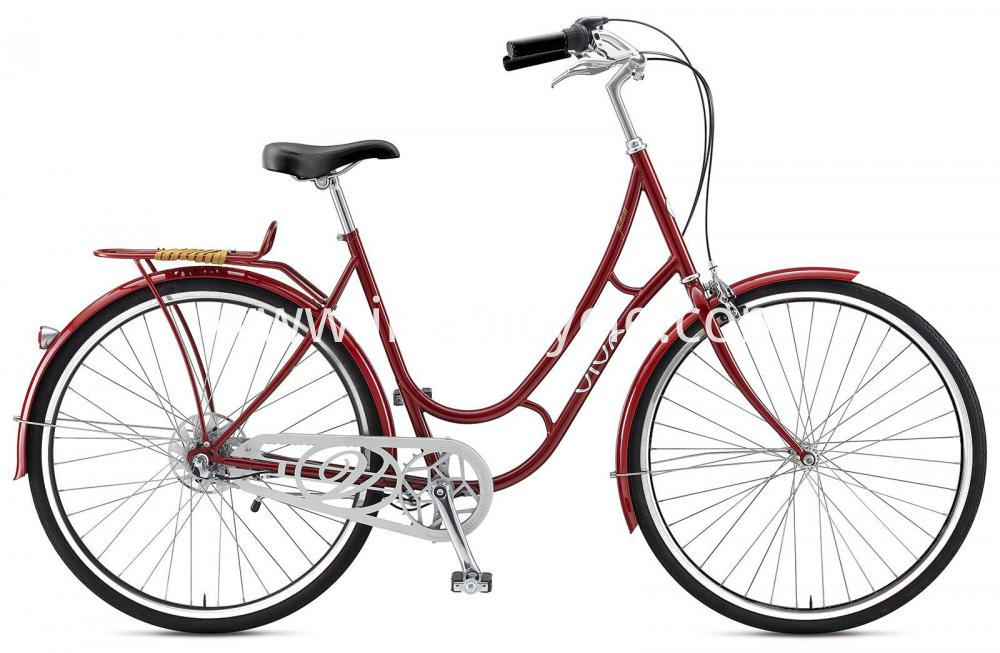 Steel Fork Material City Bike