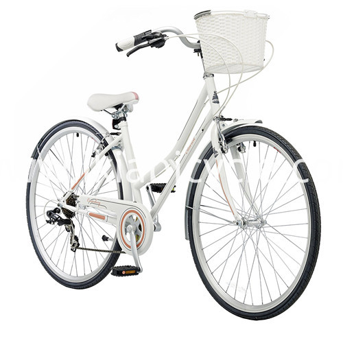 Single Speed City Bike with Lock