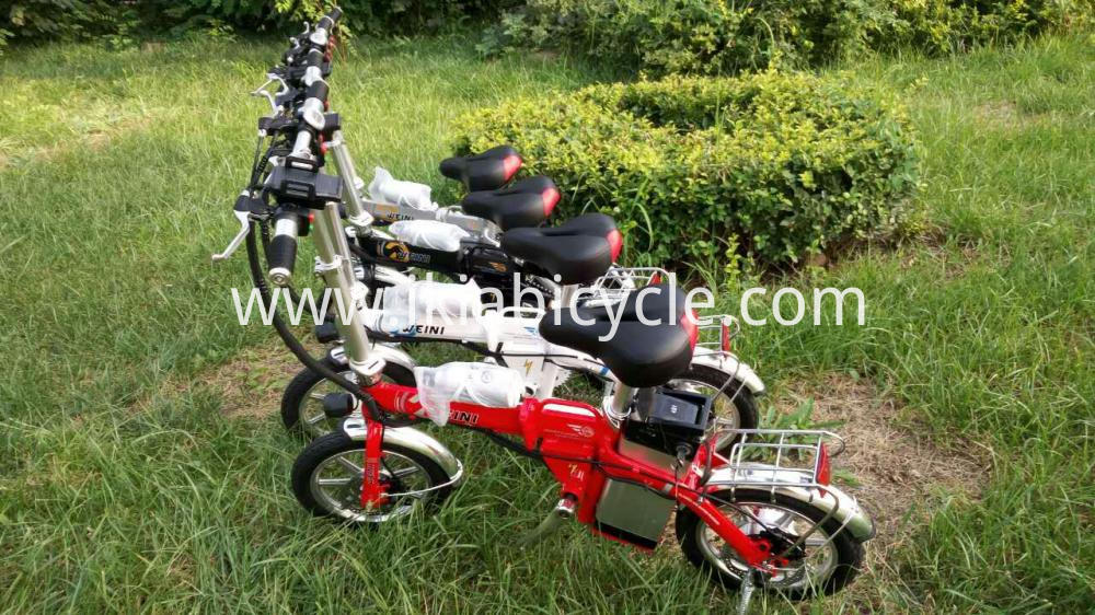 6 Speed 20 Inch Folding Bike