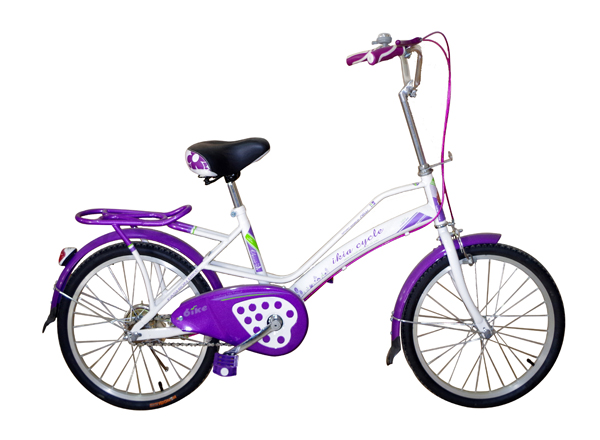 Beautiful Lady bicycle with Beautiful Basket