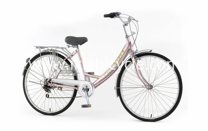 City Bicycles With Steel Frame