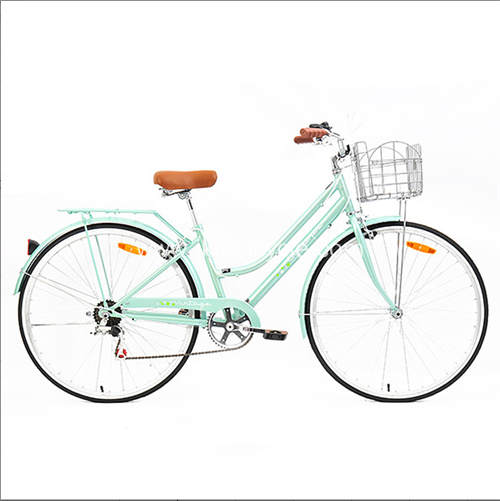 Single Speed City Bike with Lock
