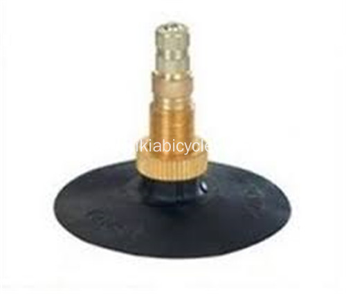 Inner Tube Valve Types