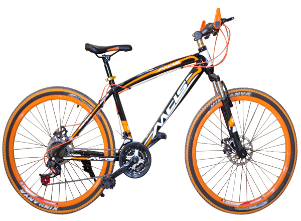 Bicycle Mountain Bike with Various Size