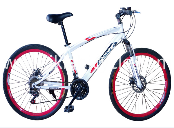 MTB Bicycle with Straight Top Frame Pipe