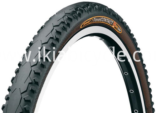 Colored Fat Beach Bike Tire