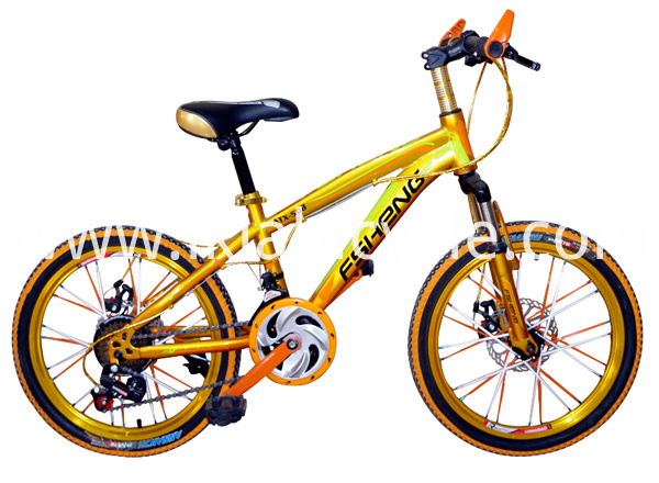 MTB Bicycle with Straight Top Frame Pipe