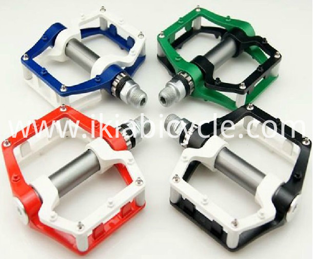 Colorful Road Bike Pedal and Shoes