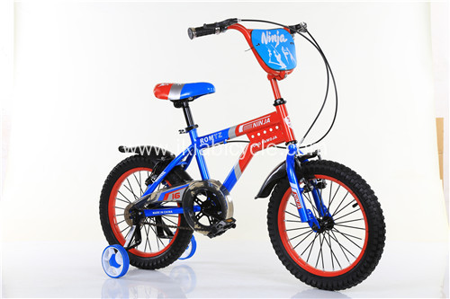 Direct Supply Kid Bike