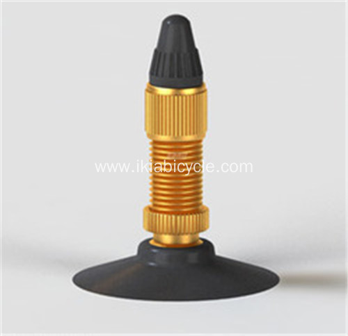 Inner Tube Valve Types