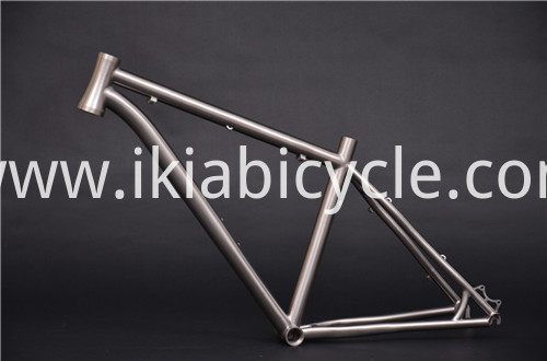 High Quality Alloy bicycle Frame