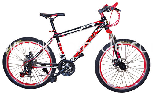 26 Men 21 Speed  Frame Mountain Bicycle