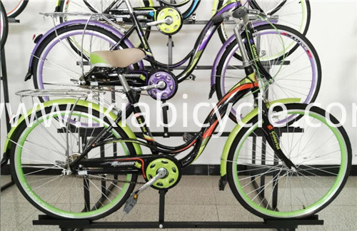 Single Speed Women City Bike