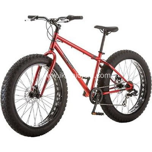 4.0 Big Tire Fat Bicycle