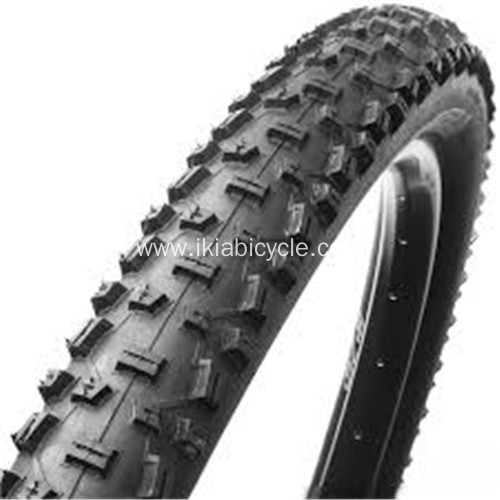 Popular Bicycle Tire Tubes