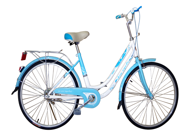 Lady Bike with Single Stand