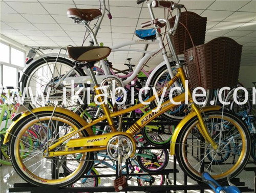 26 Inch Single Speed City Bicycle