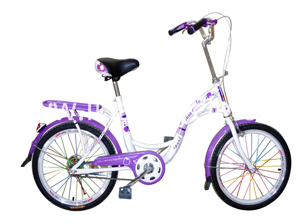 SKD Package Lady Bikes with Steel Frame