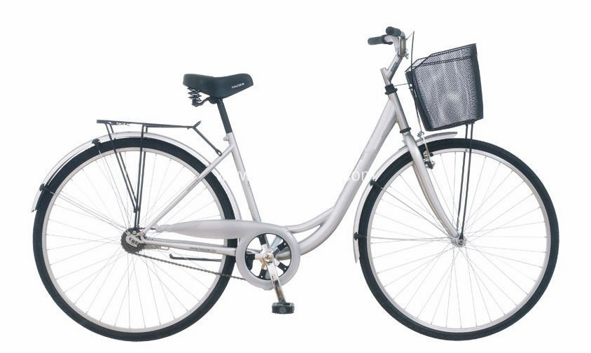 Cheap Lovely Bike for Lady