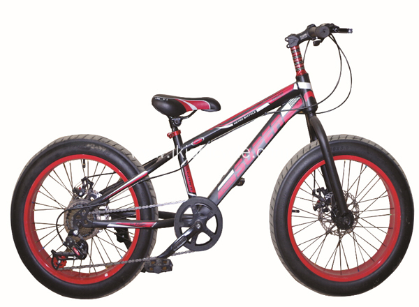 Fat Tire Mountain Bike Alloy Bicycle