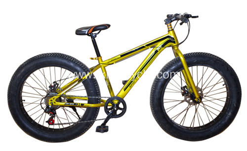 Alloy Frame Mountain Bike with Fat Tire