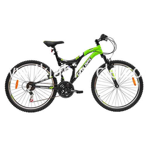 Steel MTB