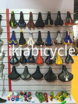 Chinacycle 2015-Shanghai (2)