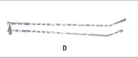 fork guard B